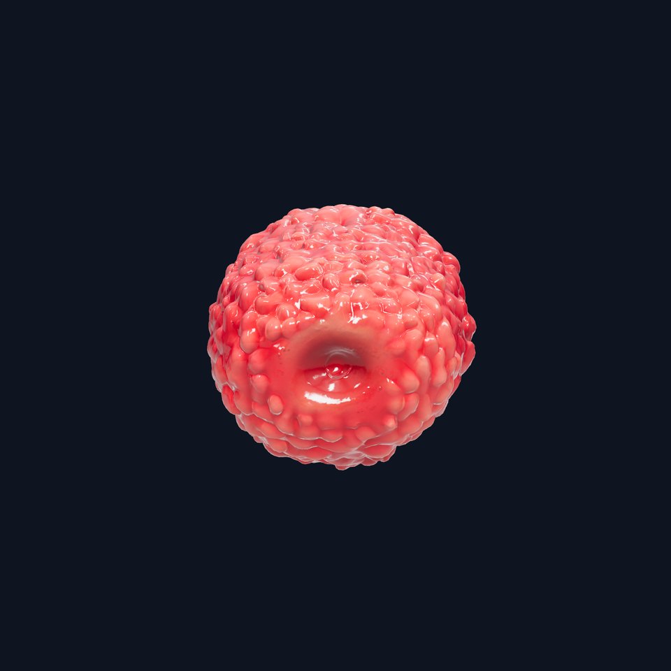 Fresh Velvet Raspberry Model Pack